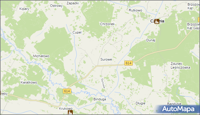 mapa Surowe gmina Czarnia, Surowe gmina Czarnia na mapie Targeo