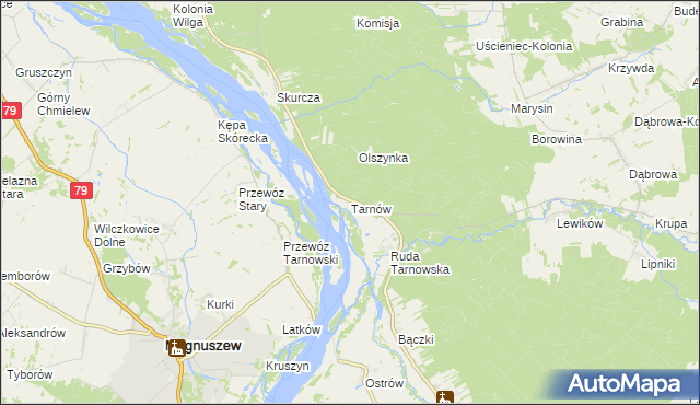 mapa Tarnów gmina Wilga, Tarnów gmina Wilga na mapie Targeo