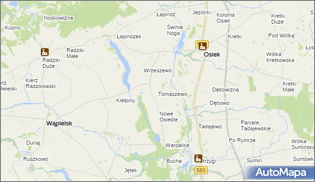 mapa Tomaszewo gmina Osiek, Tomaszewo gmina Osiek na mapie Targeo