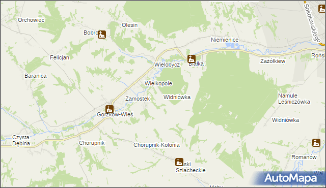 mapa Widniówka gmina Gorzków, Widniówka gmina Gorzków na mapie Targeo