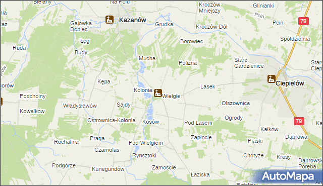 mapa Wielgie gmina Ciepielów, Wielgie gmina Ciepielów na mapie Targeo
