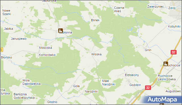 mapa Wioska gmina Rakoniewice, Wioska gmina Rakoniewice na mapie Targeo