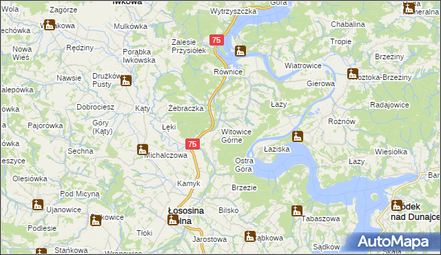 mapa Witowice Górne, Witowice Górne na mapie Targeo