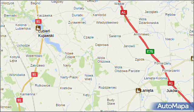 mapa Wola Olszowa, Wola Olszowa na mapie Targeo