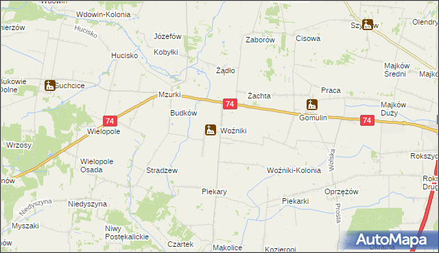 mapa Woźniki gmina Wola Krzysztoporska, Woźniki gmina Wola Krzysztoporska na mapie Targeo