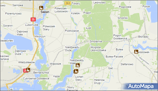 mapa Wygoda gmina Ślesin, Wygoda gmina Ślesin na mapie Targeo