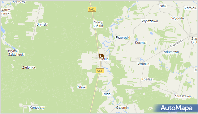 mapa Zieluń, Zieluń na mapie Targeo