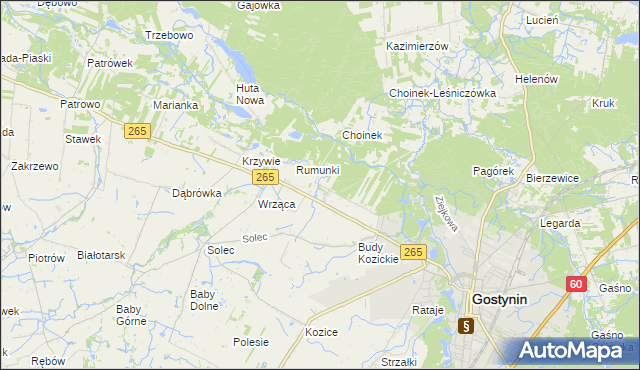 mapa Nagodów gmina Gostynin, Nagodów gmina Gostynin na mapie Targeo