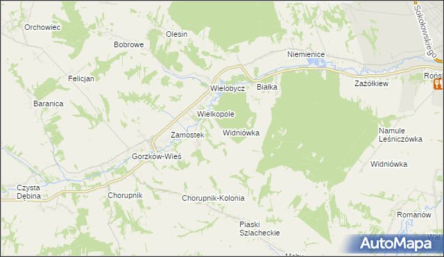 mapa Widniówka gmina Gorzków, Widniówka gmina Gorzków na mapie Targeo