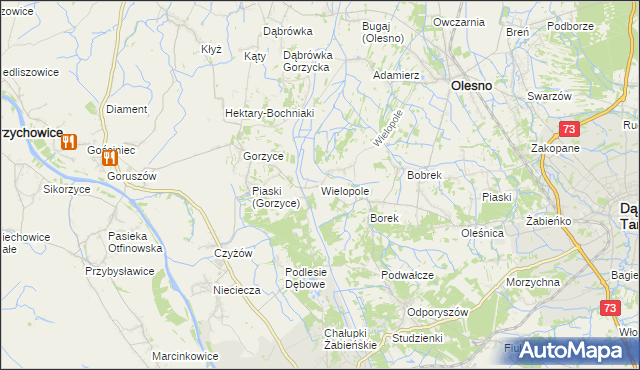mapa Wielopole gmina Olesno, Wielopole gmina Olesno na mapie Targeo