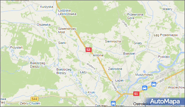 mapa Antonie gmina Olszewo-Borki, Antonie gmina Olszewo-Borki na mapie Targeo