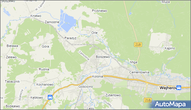 mapa Bolszewo, Bolszewo na mapie Targeo