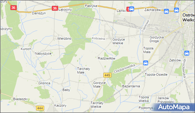 mapa Radziwiłłów gmina Ostrów Wielkopolski, Radziwiłłów gmina Ostrów Wielkopolski na mapie Targeo