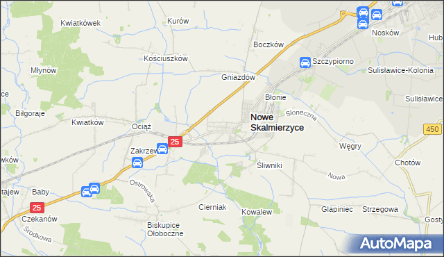mapa Skalmierzyce, Skalmierzyce na mapie Targeo