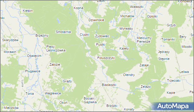 mapa Foluszczyki, Foluszczyki na mapie Targeo