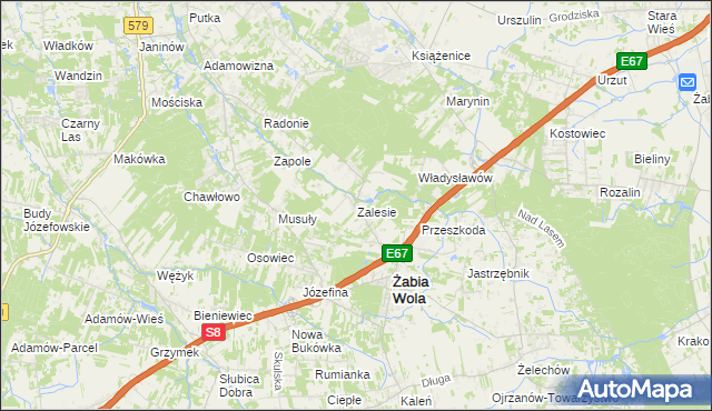 mapa Zalesie gmina Żabia Wola, Zalesie gmina Żabia Wola na mapie Targeo