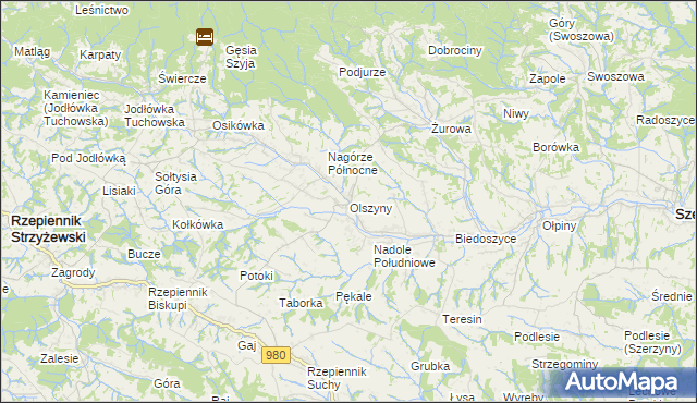 mapa Olszyny gmina Rzepiennik Strzyżewski, Olszyny gmina Rzepiennik Strzyżewski na mapie Targeo