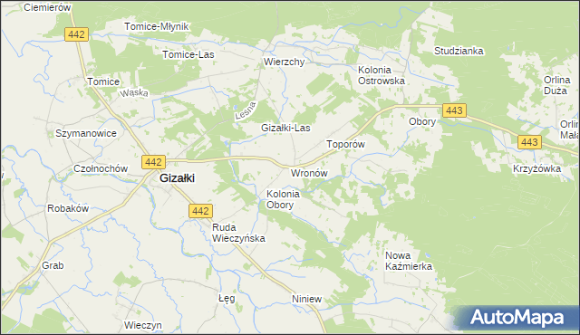 mapa Wronów gmina Gizałki, Wronów gmina Gizałki na mapie Targeo