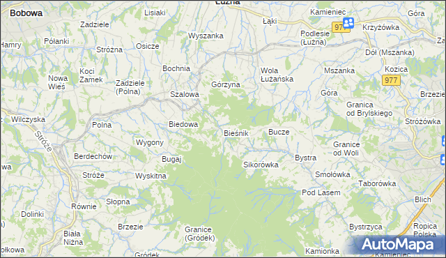 mapa Bieśnik gmina Łużna, Bieśnik gmina Łużna na mapie Targeo