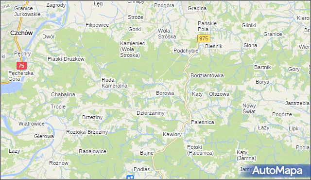 mapa Borowa gmina Zakliczyn, Borowa gmina Zakliczyn na mapie Targeo
