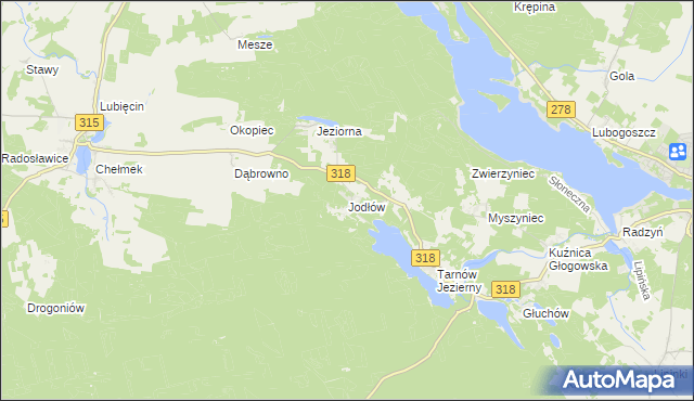 mapa Jodłów gmina Nowa Sól, Jodłów gmina Nowa Sól na mapie Targeo