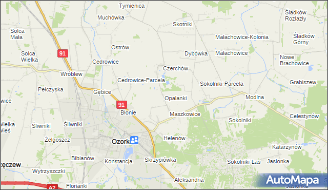 mapa Opalanki gmina Ozorków, Opalanki gmina Ozorków na mapie Targeo