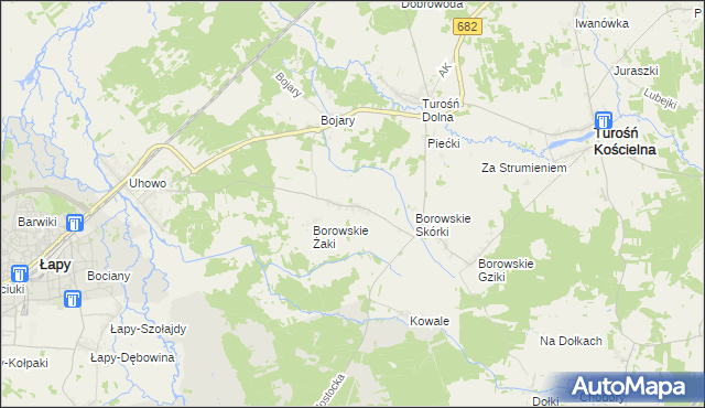 mapa Borowskie Olki, Borowskie Olki na mapie Targeo