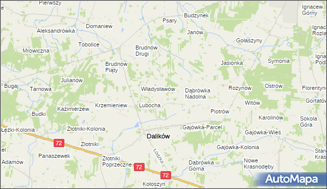 mapa Dąbrówka Woźnicka, Dąbrówka Woźnicka na mapie Targeo