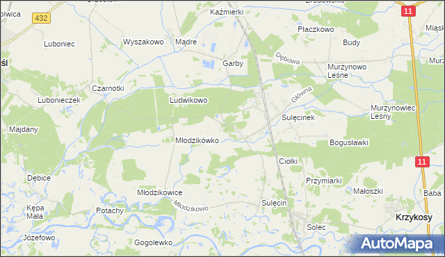 mapa Borowo gmina Krzykosy, Borowo gmina Krzykosy na mapie Targeo