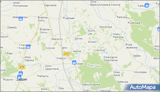 mapa Babiniec gmina Zadzim, Babiniec gmina Zadzim na mapie Targeo