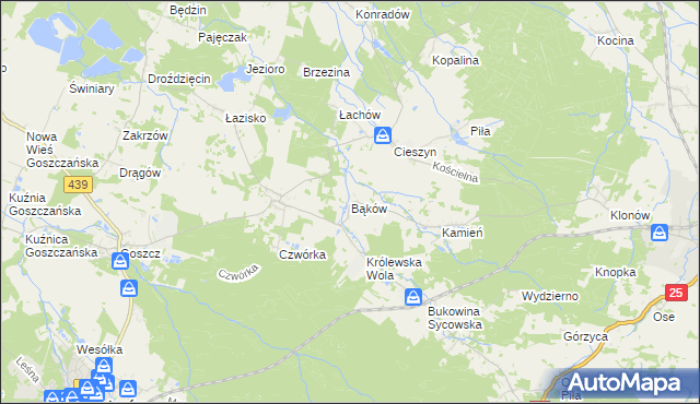 mapa Bąków gmina Międzybórz, Bąków gmina Międzybórz na mapie Targeo
