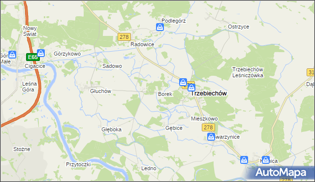 mapa Borek gmina Trzebiechów, Borek gmina Trzebiechów na mapie Targeo