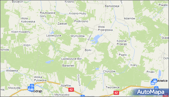 mapa Borki gmina Masłowice, Borki gmina Masłowice na mapie Targeo
