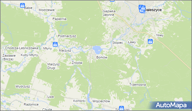 mapa Borków gmina Daleszyce, Borków gmina Daleszyce na mapie Targeo