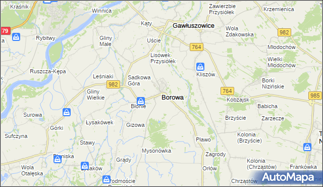 mapa Borowa powiat mielecki, Borowa powiat mielecki na mapie Targeo