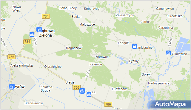 mapa Borowce gmina Dąbrowa Zielona, Borowce gmina Dąbrowa Zielona na mapie Targeo