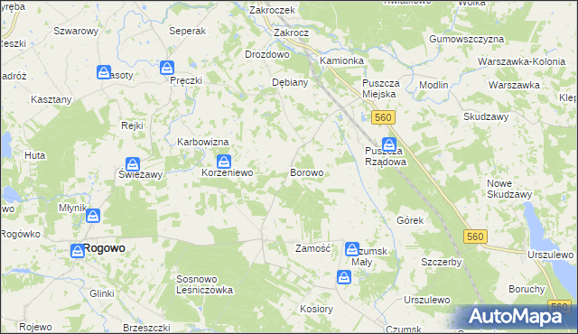 mapa Borowo gmina Rogowo, Borowo gmina Rogowo na mapie Targeo