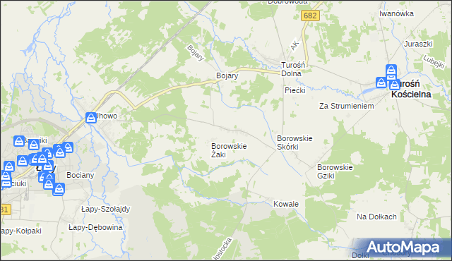 mapa Borowskie Cibory, Borowskie Cibory na mapie Targeo