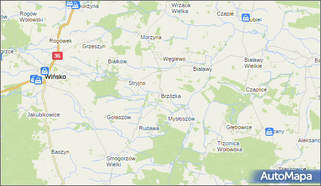 mapa Brzózka gmina Wińsko, Brzózka gmina Wińsko na mapie Targeo