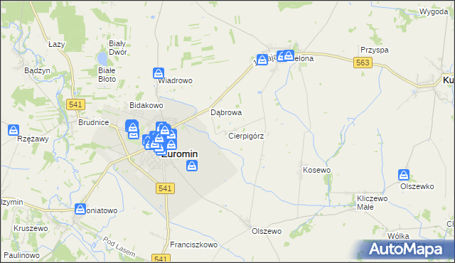 mapa Cierpigórz gmina Żuromin, Cierpigórz gmina Żuromin na mapie Targeo