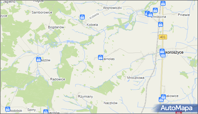 mapa Czarnolas gmina Skoroszyce, Czarnolas gmina Skoroszyce na mapie Targeo