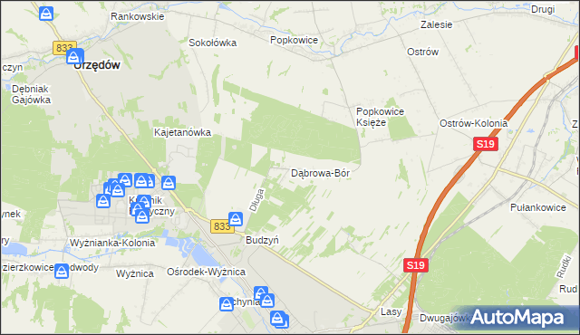 mapa Dąbrowa-Bór, Dąbrowa-Bór na mapie Targeo