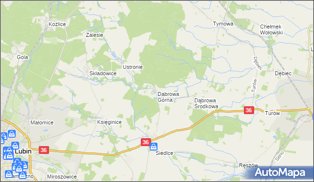 mapa Dąbrowa Górna gmina Lubin, Dąbrowa Górna gmina Lubin na mapie Targeo