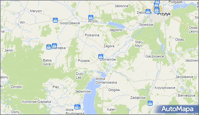mapa Domaniów gmina Przytyk, Domaniów gmina Przytyk na mapie Targeo