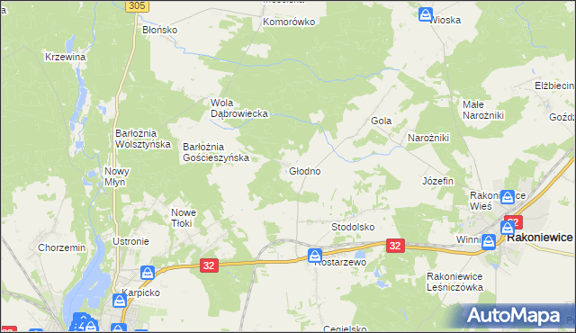 mapa Głodno gmina Rakoniewice, Głodno gmina Rakoniewice na mapie Targeo