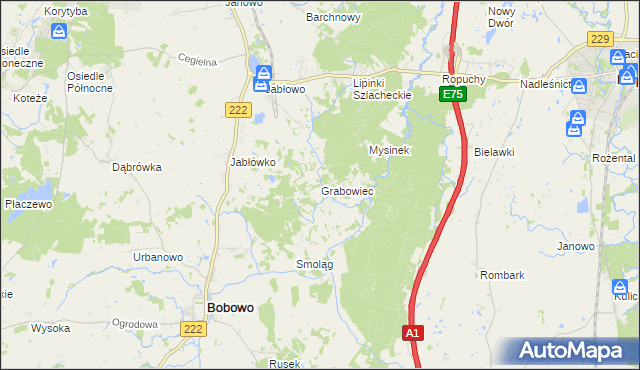 mapa Grabowiec gmina Bobowo, Grabowiec gmina Bobowo na mapie Targeo