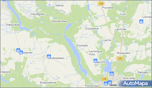 mapa Grzybowo gmina Skoki, Grzybowo gmina Skoki na mapie Targeo
