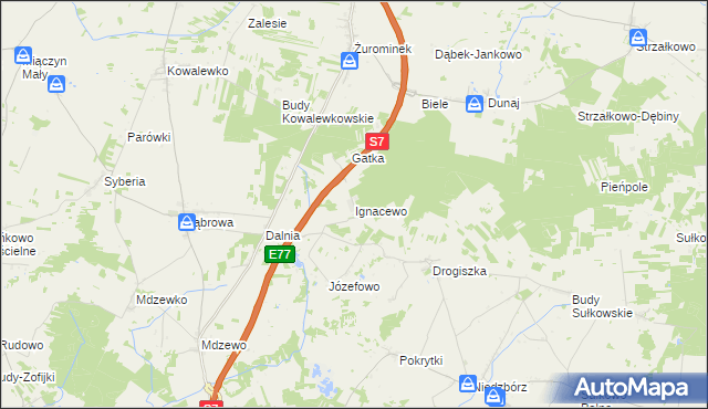mapa Ignacewo gmina Strzegowo, Ignacewo gmina Strzegowo na mapie Targeo