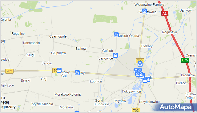 mapa Janowice gmina Piątek, Janowice gmina Piątek na mapie Targeo