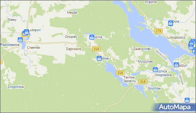 mapa Jodłów gmina Nowa Sól, Jodłów gmina Nowa Sól na mapie Targeo